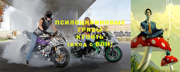 соль ск Богородицк