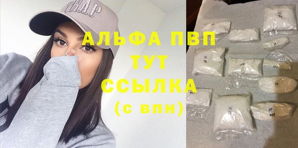 дживик Инсар