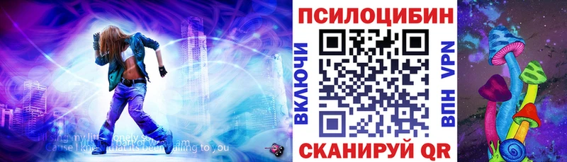 Псилоцибиновые грибы Psilocybine cubensis  Нелидово 